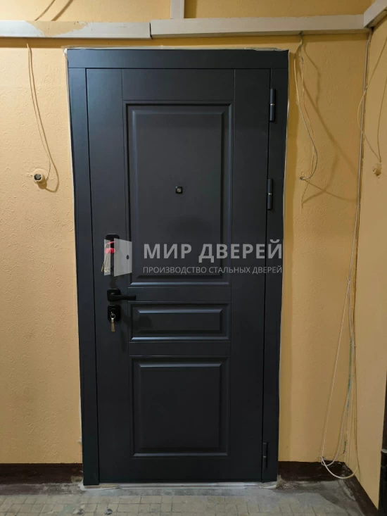 Фото двери № 501